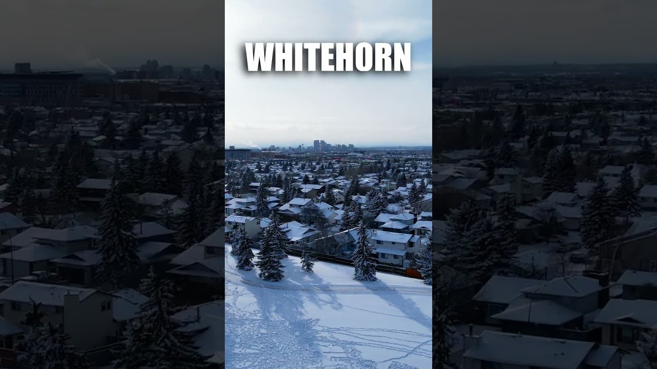 REASONS TO LIVE IN WHITEHORN! 