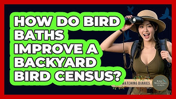 How Do Bird Baths Improve A Backyard Bird Census? - Bird Watching Diaries