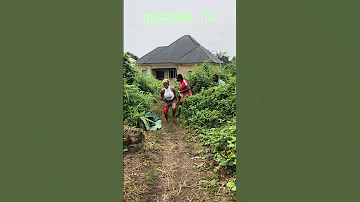 Music Vibes Newmusic Remix Rap Amapianotv 