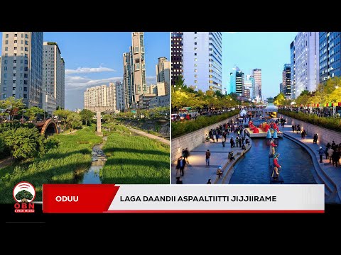 Lagni Daandii Aspaaltiitti Jijjirame Yoo Jedhan Maaltu Amana