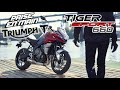 PRISE EN MAIN TRIUMPH TIGER SPORT 660 2022  | PASSION RIDES