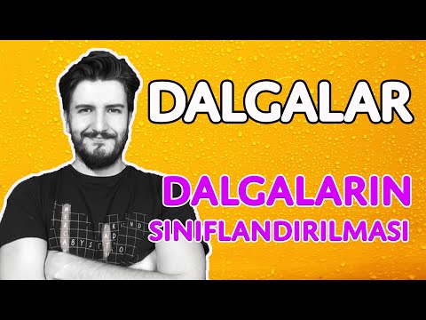 Dalgaların Sınıflandırılması | Dalgalar - 2 | Simülasyon | PDF