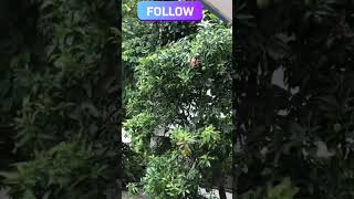 Cyber security Course join,... #viral #1million #growth #react #chumma #lifeofnagi