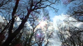 The Constant Companions: The Manuscript of Survival - Part 310 - May 15, 2013
