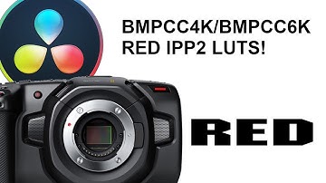 BMPCC4K | CUSTOM RED IPP2 LUTS!