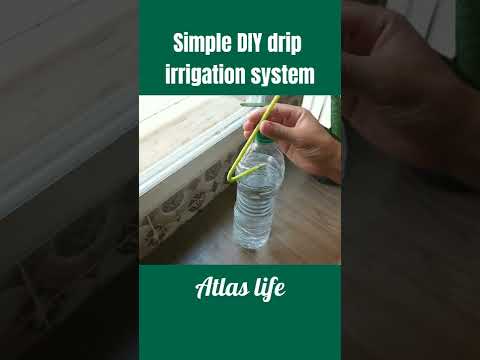 Simple & easy diy drip irrigation system