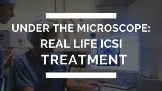 Under The Microscope: Real Life ICSI Treatment The Zita West Clinic