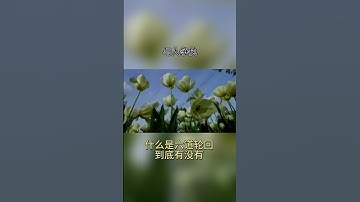 到底有沒有六道輪迴 #人生感悟 #佛教#智慧