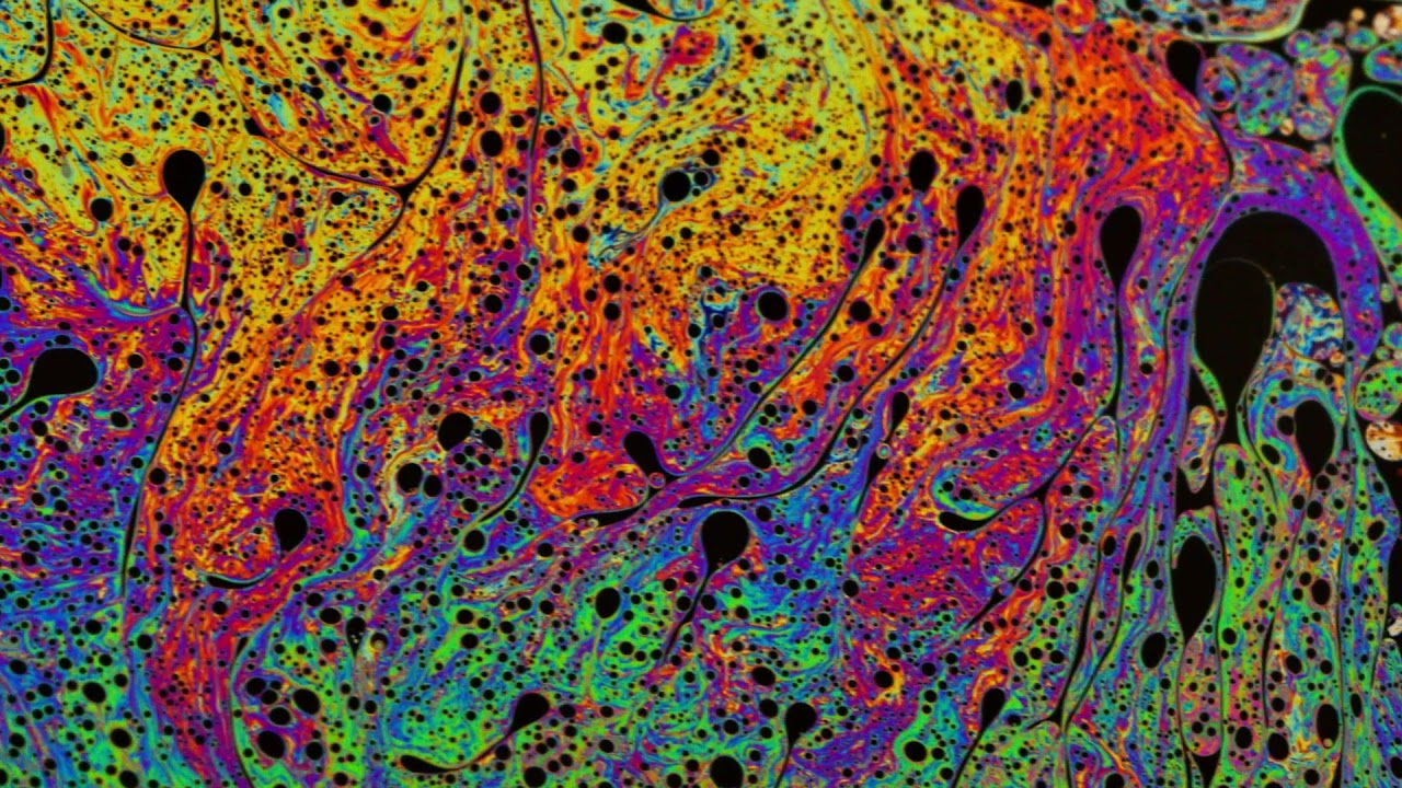 Landrace Genetics w/ 710 Labs EDU