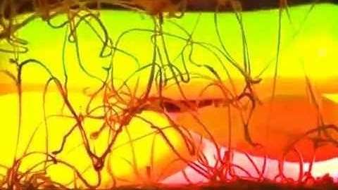 ADIABATIC INVARIANTS - NEW ALBUM preview