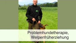 Hundeverhaltenstherapie Berlin Hundeverhaltenstherapie Berlin