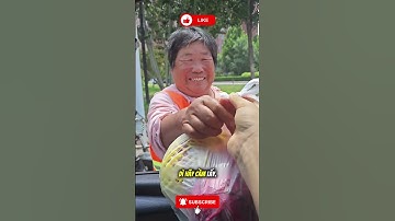 cuộc sống là sự cho đi và được nhận lại những điều tốt lành #funny #funny #trending #trendingshorts