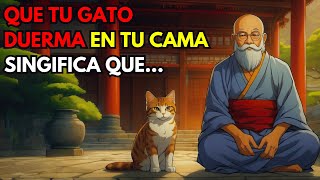 El SIGNIFICADO Oculto De Que Tu Gato DUERMA CONTIGO Por La Noche - Historia Zen