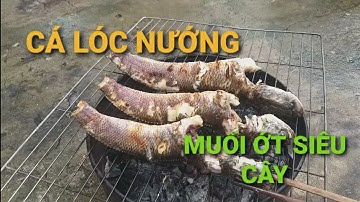Cá Lóc Nướng Chấm Muối Ớt Siêu Cay| Điền Đô Biker Vlog
