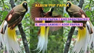 LAGU DAERAH PAPUA, AGUS SAMORI, PUTRI PAPUA, SAHABATKU, ASOP PAPUA