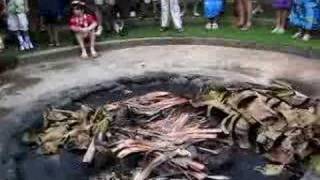 Hawaii Luau