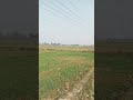 बोर्ड के परीक्षा में सम्मिलित होने वाले सभी विद्यार्थि अब अपने लक्ष्य के पास खडे हैं। बिहार बोर्ड।