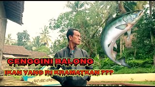 SEJARAH MELEGENDA❓❓ IKAN YANG DI KERAMATKAN DI MASYARAKAT CENGGINI BALONG KEC.BALAPULANG