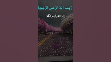 تلاوة عطرة #المصحف #القرآن_الكريم #القرآن #العلم_والحكمة #اكسبلور #لايك #ترند #foryou