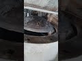 Ash Vessel Dome valve inspection