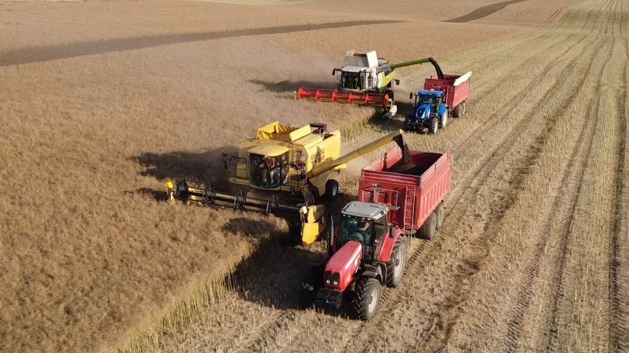 Žatva 2025 | Claas lexion 6700 | New Holland Cx8.80 / TX66 | Massey Ferguson | PDP Veľké Kostoľany 