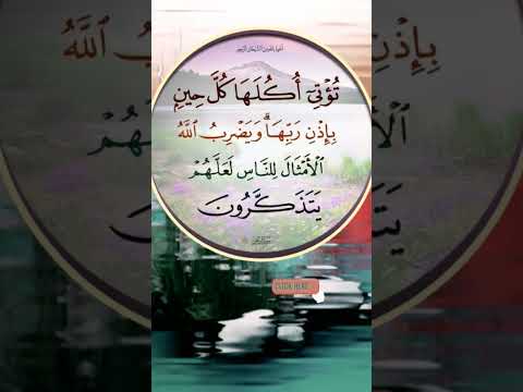 تؤتي أكلها بإذن ربهم نعمة الله رزق حلال خيرات الأرض شكر الله