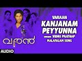 Kanjanam Peyyunna Full Audio Song | Malayalam Varaan Film |Allu Arjun, Banushree M | Mani Sharma