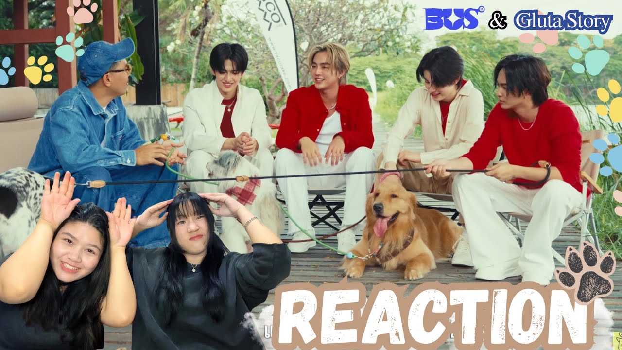 [Reaction] BUS  x Glutastory  เมื่อแก๊งแมวมาเจอหมา🐶