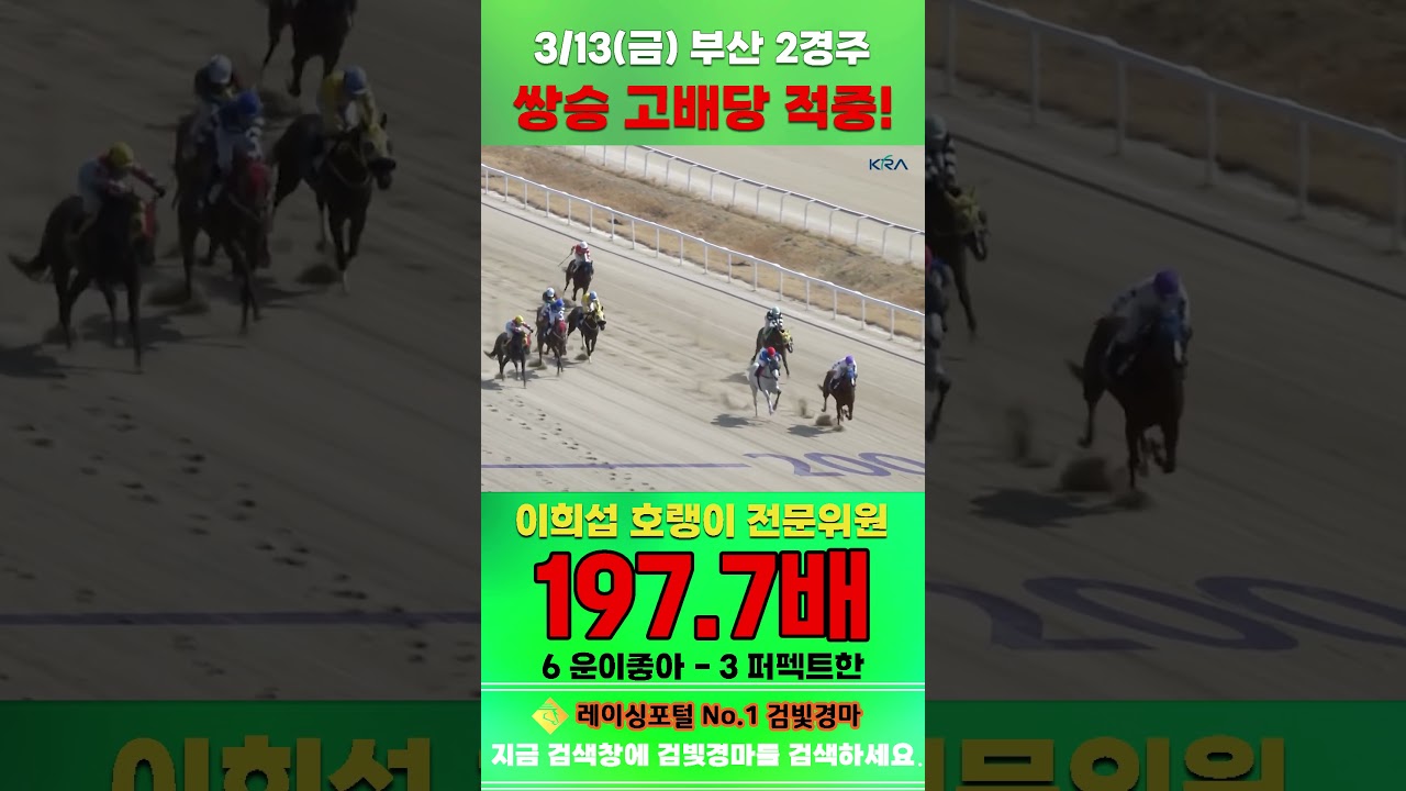 [부산 경마] 3월 13일 금요 2경주 이희섭 호랭이 전문위원 쌍승 고배당 적중 #경마 #horse #한국마사회 #automobile #하이라이트 #equestrian #게임