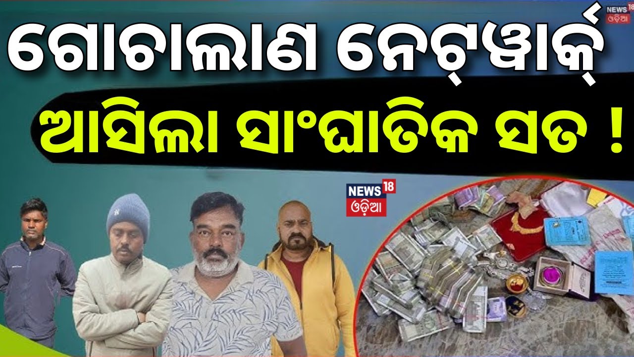 ଗୋଚାଲାଣ ନେଇ ଭୟଙ୍କର ସତ! Cow Mafia Network Busted in Odisha |Raid On Cow Mafia |Police Seize|Odia News
