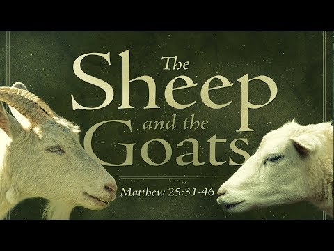 Video: Kommer att skilja fåren från getterna?