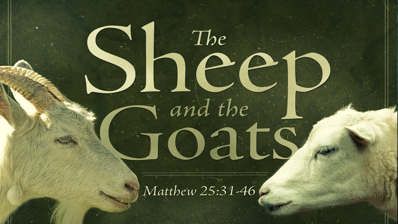 The Sheep & The Goats Parable: As You’ve Never Seen It