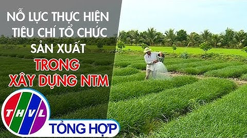 Nỗ lực thực hiện tiêu chí tổ chức sản xuất trong xây dựng NTM