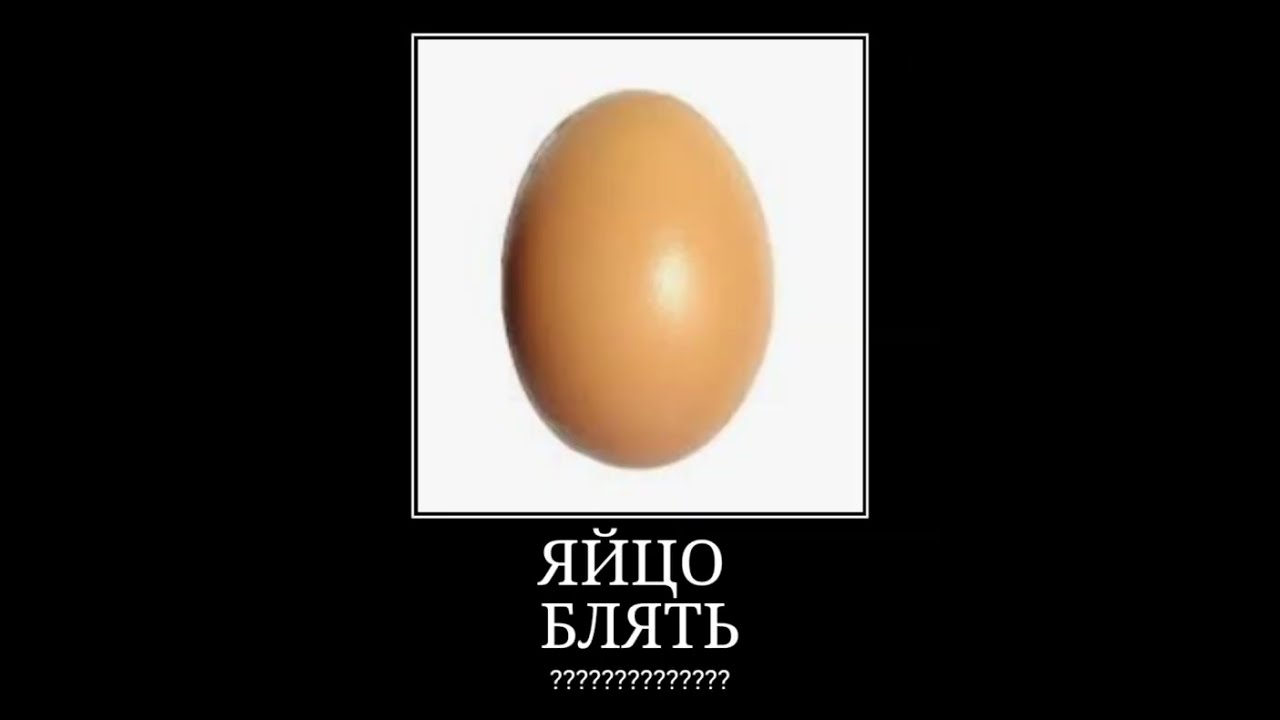 Праве А Под Яйцо Купить Тольятти С
