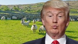 America First Ireland Second (The 51st State)