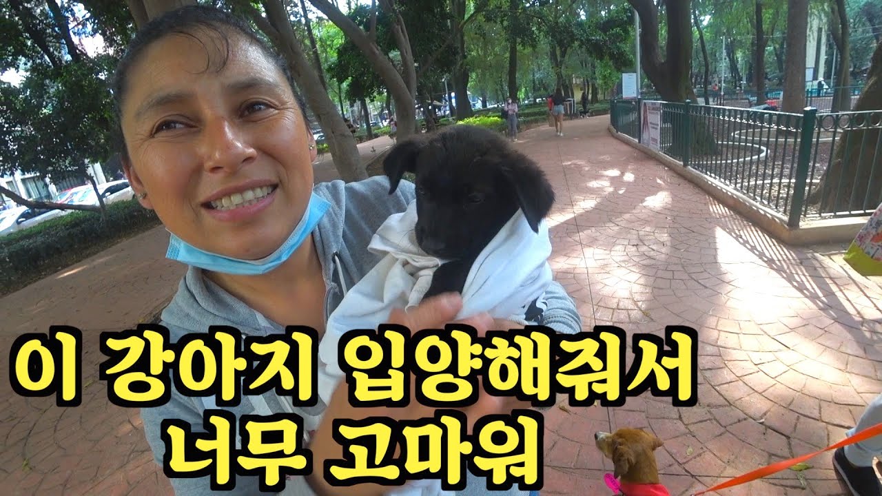 밥순이를 입양한 날