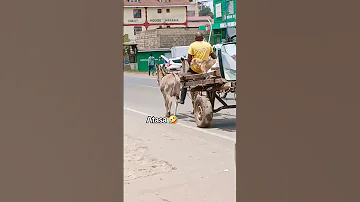 Https Www Tiktok Com Fredricknyambura3 T ZM 8zJVxefLZQ5 R 1 Comedymove Comedyfilms Funny 
