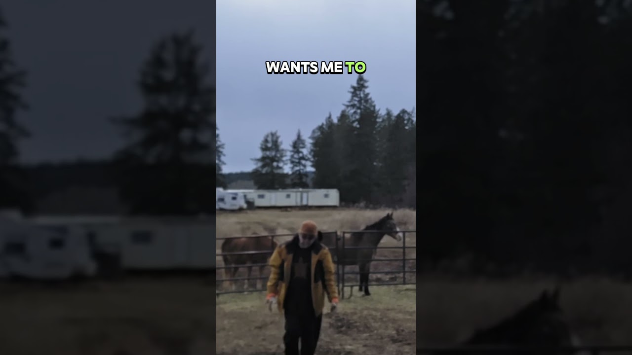 checking in with the horses