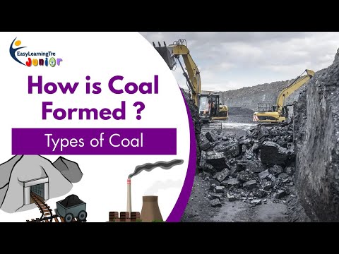 How is Coal Formed ? || Types of coal || Chemistry || Class 8 || Easy Learning Tre Junior