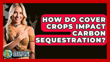 How Do Cover Crops Impact Carbon Sequestration? - Ecosystem Essentials