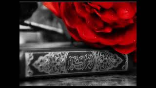 Surah At Tariq  |  86  |  Mishary Al Afasy  |  Hassan Hammad  |  Quran pak