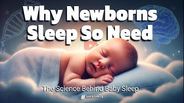 👶 Why Newborns Sleep So Much! The Science Behind Baby Sleep Explained 💤 | Baby | Learn LineUp |