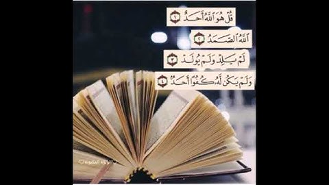 سورة #الاخلاص| #ثلث القرآن الشيخ|صالح المغامسي