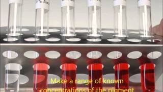 Setting up a DIY colorimeter