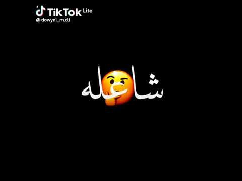 اغنية عود فرنسي عربي مع جمال الامريكان