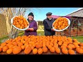 Making Mandarin Marmalade and Cake! Easy and Quick Recipes!