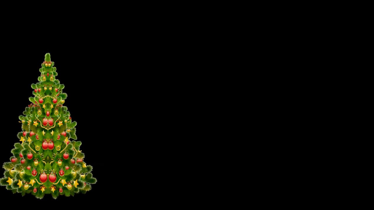 новогодняя елка хромакей. елка футаж хромакей. елка и подарки хромакей. новогодняя елка на зеленом фоне. новогодняя елка футаж.