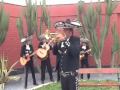 La paloma  mariachi nuevo jalisco   solo de trompeta de cesar rivera telf 5681512  989993475