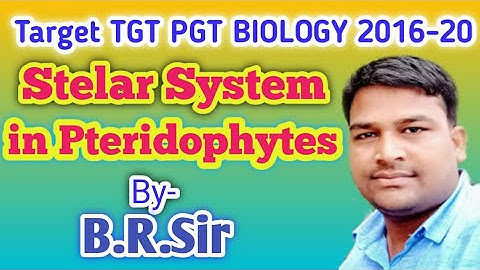 Stelar System in Pteridophytes || Stelar System and its Evolution  | TGT PGT BIOLOGY | Biology zone