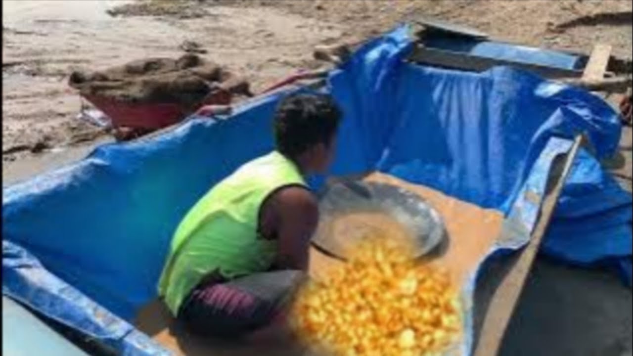 Cara memisahkan emas dengan karpet emas dan mendulang nya